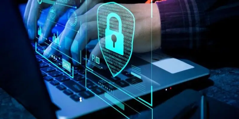 Ppvip Privacy Policy data protection framework