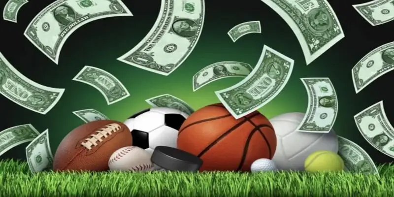 Ppvip Sports live betting interface system