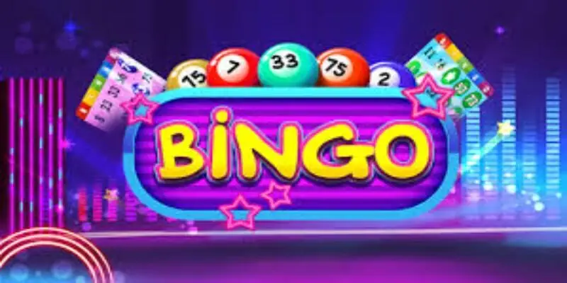 Ppvip Bingo gameplay interface overview